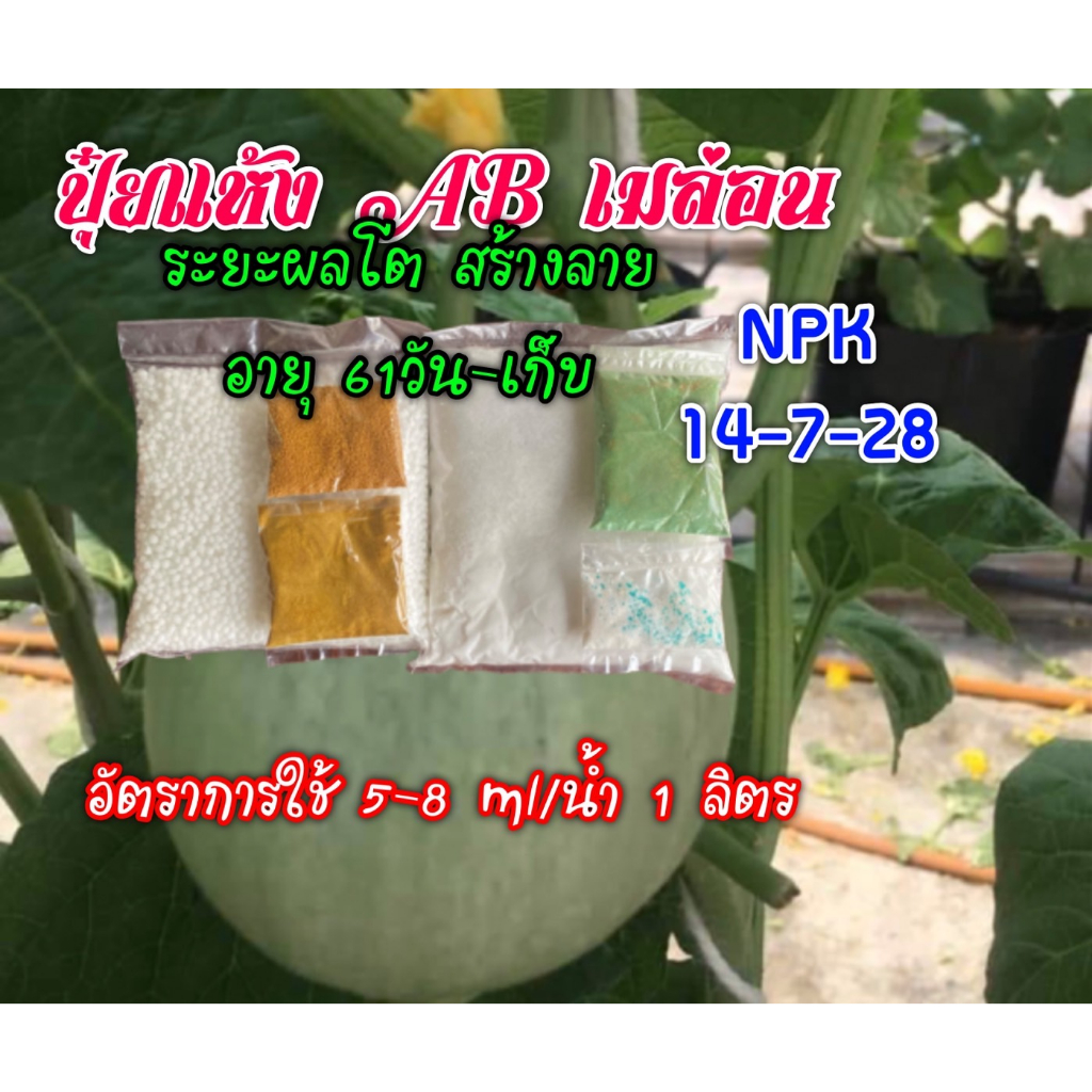 ปุ๋ยแห้ง AB เมล่อน set สูตร 3 ชุด 5 ลิตร (ช่วงขยายผลใหญ่-เก็บเกี่ยว )