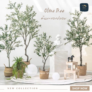 Olive Tree ต้นมะกอกปลอม ต้นไม้ปลอม งานเหมือนต้นไม้จริงมาก ดูแลรักษาง่าย