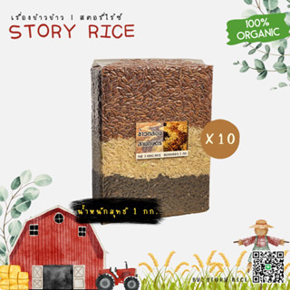 ข้าวกล้องสามกษัตริย์ ชุด 10 กก. แพ็คสุญญากาศ | Story Rice