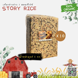 ข้าวกล้องห้ากษัตริย์ ชุด 10 กก. แพ็คสุญญากาศ | Story Rice