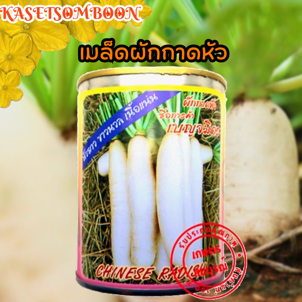 เมล็ดผักกาดหัว เมล็ดพันธุ์ 100 ก. (เมล็ดหัวไชเท้า) ตราต้นไผ่