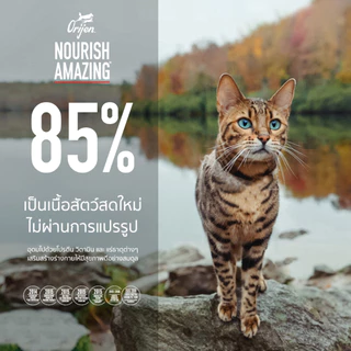 ORIJEN Six Fish Cat 340 กรัม โอริเจน ซิกซ์ ฟิช สำหรับแมวทุกช่วงวัย ทุกสายพันธุ์