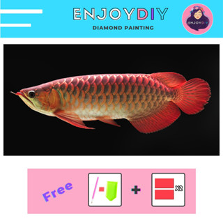 รูปปลามังกร 2 ครอสติสคริสตัล 5d diy diamond painting แบบเม็ด ติดเต็ม เม็ดกลม พร้อมส่งจากไทย EnjoyDIY