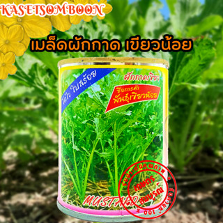 เมล็ดผักกาด เขียวน้อย เมล็ดพันธุ์ 80 ก. ตรา ต้นไผ่