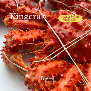 ปูอลาสก้าทุกไซส์ Size 1.4-2.2 kg /pc  Kingcrab chilean