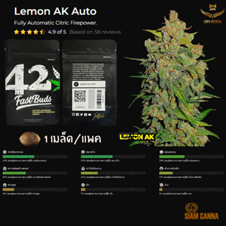 เมล็ดกัญชา Lemon AK Auto - Fastbuds Pack : 1 seed พร้อมแพ็คเกจค่าย เมล็ดกัญชาออโต้