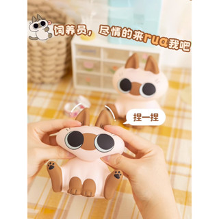 [พร้อมส่ง] Squishy Azukisan Cat ลิขสิทธิ์แท้ 🐈💖 สกุชชี่ ตุ๊กตา Doll หมอน ของสะสม แมว ทาสแมว ของขวัญ สกุชชี่แมว