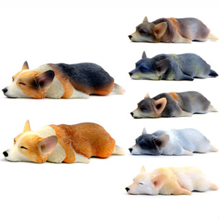 กาชาปองสัตว์ กาชาปอง โมเดล หมา คอร์กี้ สัตว์ Gashapon Corgi cocky dog model Simulation Animal Gacha Doll Model