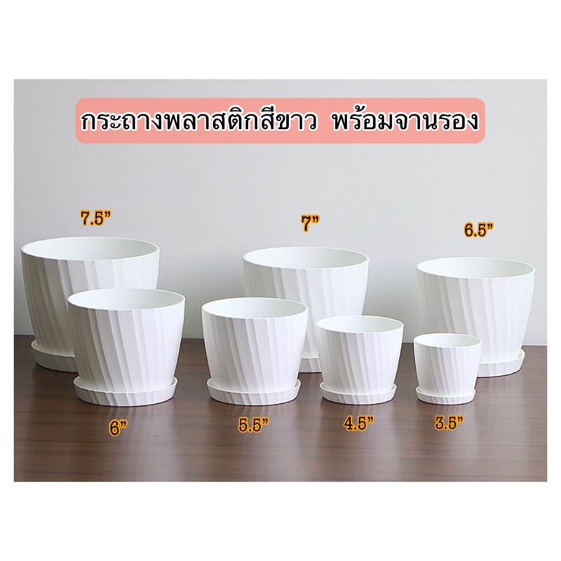 ‼️ถูก  และหนา‼️ กระถางพลาสติกสีขาวลายเฉียง พร้อมจานรอง  กระถางโมเดิร์น กระถางมินิมอล ขนาด 3.5-7.5 นิ้ว