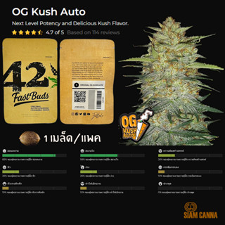 เมล็ดกัญชา OG Kush Auto - Fastbuds Pack : 1 seed พร้อมแพ็คเกจค่าย เมล็ดกัญชาออโต้