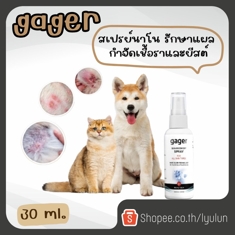 Gager  Nano Silver Spray สเปรย์นาโนรักษาเชื้อรา เลียได้ แผลติดเชื้อ แผลจากการผ่าตัด อักเสบ ติดเชื้อแ