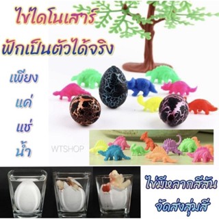 ไข่ไดโนเสาร์ ของเล่นเด็ก ไข่ไดโนเสาร์ฟักได้ จัดส่งสุ่มสี (1ลูก)