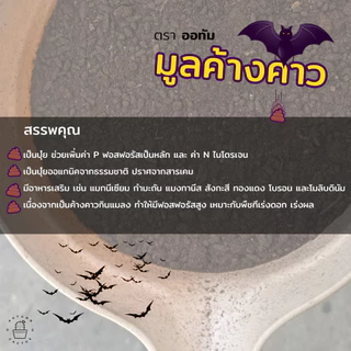 🦇🦇 มูลค้างคาว มูลค้างคาวเบา เพิ่มสารอาหารในดิน เพิ่มค่าฟอสฟอรัส ปุ๋ยออแกนิค Organic100% 🦇🦇