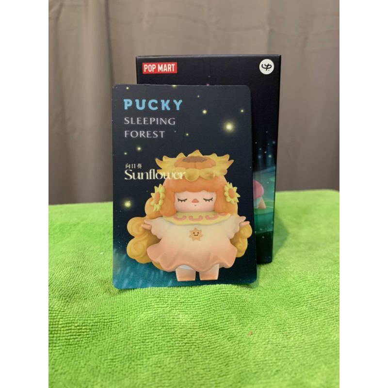 Pucky Sleeping Forest - Sunflower (สินค้าพร้อมส่ง)
