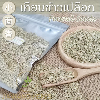 เทียนข้าวเปลือก 100 250 500 กรัม Fennel Seeds 小茴香 Xiao Hui Xiang ทราข้าวเปลือก สมุนไพร เครื่องเทศ ยี่หร่าหวาน เทียนแกลบ