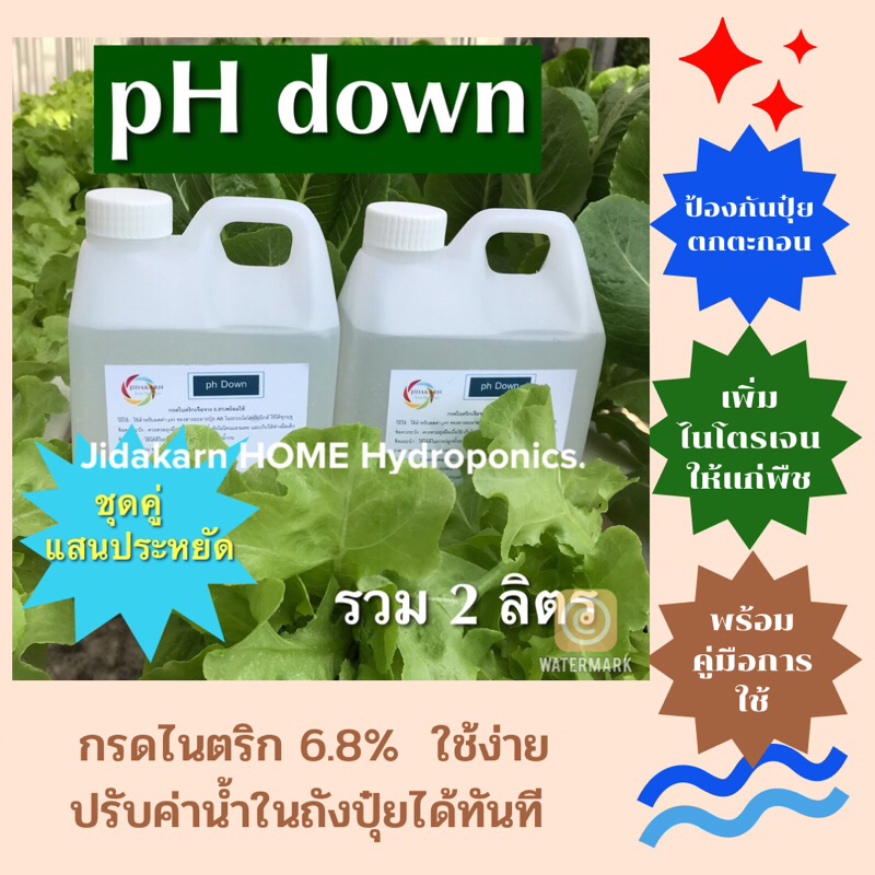 ph down กรดไนตริก พร้อมส่ง  เจือจาง 6.8% ปรับค่าน้ำ ไม่มีไอฟุ้งกระจาย พร้อมใช้ ผักสลัด ผักไทย ไฮโดรโปนิกส์ ชุดคู่ 2 ลิตร