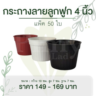 แพ็ค 50 ใบ กระถางต้นไม้ กระถางแคคตัส ลายลูกฟูก 4 นิ้ว สีขาว สีดำ สีแดงอิฐ