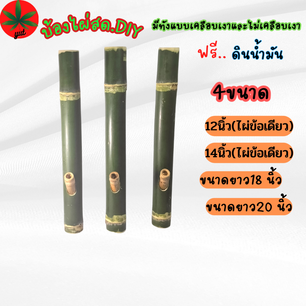 บ้องไผ่สดพร้อมใช้ มีหลายขนาด
