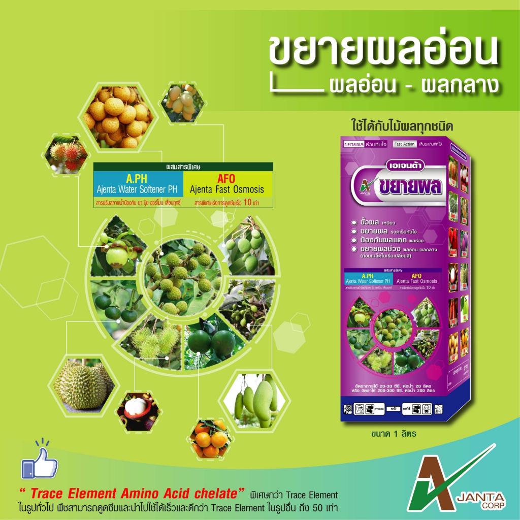 ขยายผล ขยายผลอ่อน ปุ๋ยทางใบ ใช้ตั้งแต่ผลเล็ก - ผลกลาง ขั้วผลเหนียว ป้องกันผลแตก ผลร่วง เอเจนต้า คอร์ป(500ซีซี)