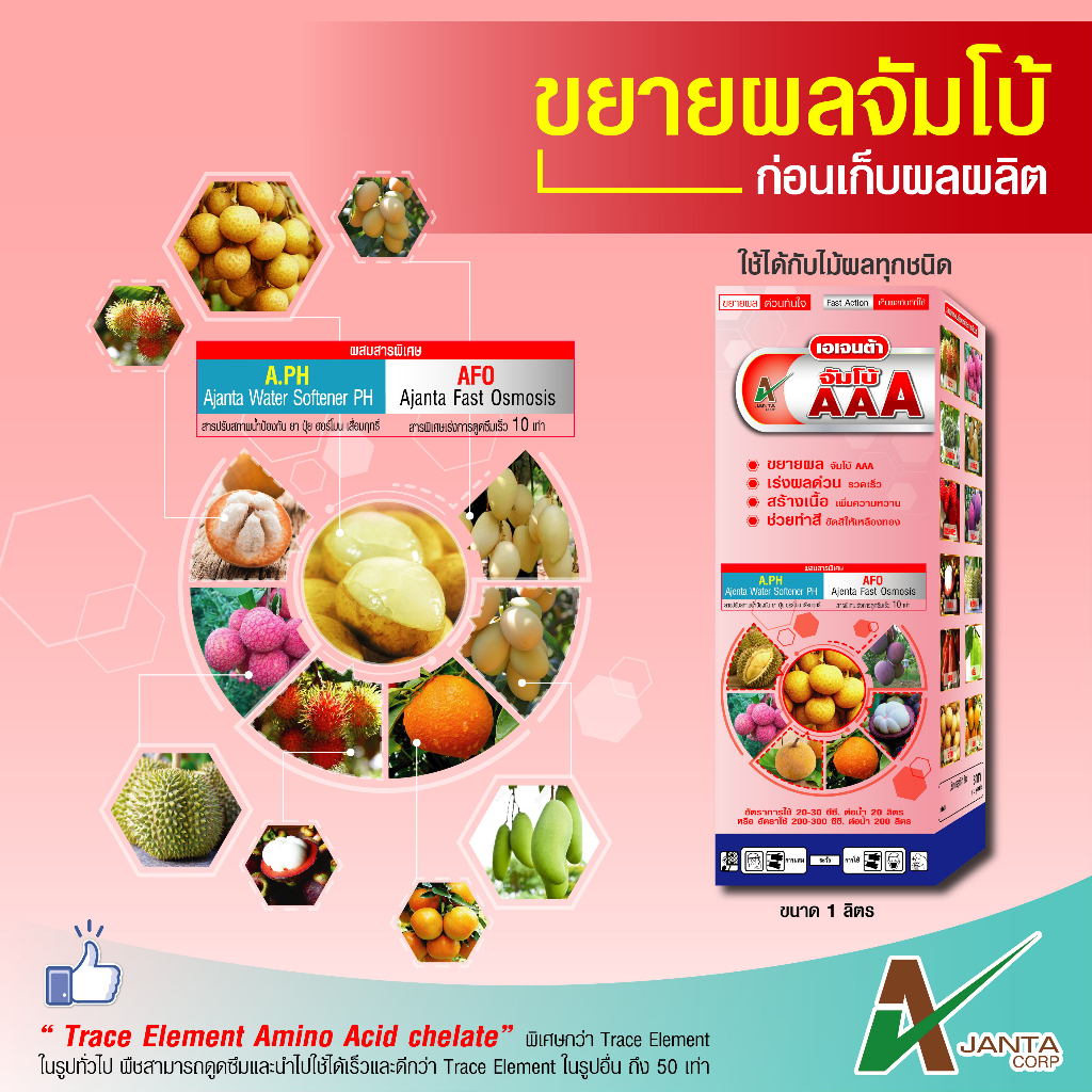 จัมโบ้ AAA ขยายผลก่อนเก็บเกี่ยว สร้างเนื้อ เพิ่มความหวาน ช่วยทำสี  เพิ่มน้ำหนักผล เพิ่มแป้ง เอเจนต้า คอร์ป (250 ซีซี)