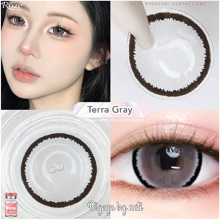 TERRA eff.18 💐Roze lens 🌹เลนส์ Hydrogel ค่าอมน้ำ 55%