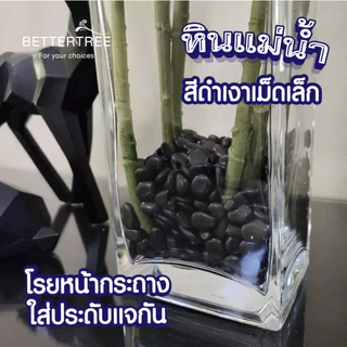 หินดำกลมเม็ดเล็ก 250 กรัม หินกระบองเพชร หิน หินสี