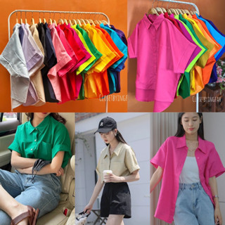 เสื้อเชิ้ตแขนสั้น เชิ้ตแขนพับ คอปก กระดุมหน้าสีพื้น basic shirt