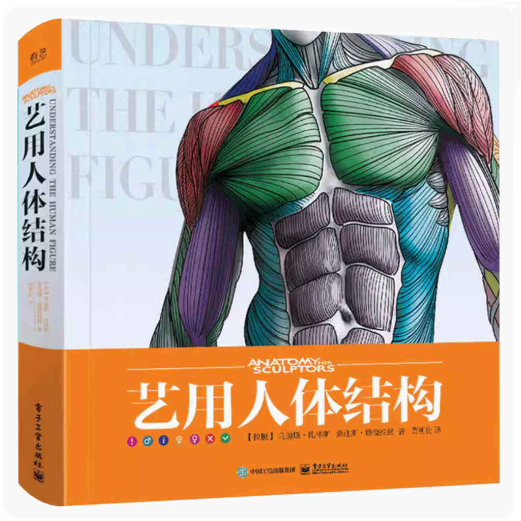 ANATOMY FOR SCULPTORS โครงสร้างร่างกายมนุษย์ กล้ามเนื้อ กายวิภาคศาสตร์ หนังสือสอนวาดรูป วาดภาพคน ศิลปะ
