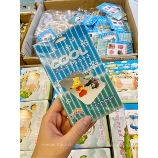 [Hamsterth] แผ่นเย็นคลายร้อน แผ่นเย็น คลายร้อน ที่นอนแฮมสเตอร์ บ้านหนูแฮมสเตอร์