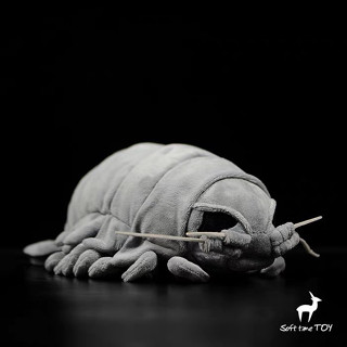 ไอโซพอด ตุ๊กตา ตุ๊กตาผ้าขน ตุ๊กตา Giant isopod ตุ๊กตายัดนุ่นรูปสัตว์ ตุ๊กตาสัตว์ หมอนตุ๊กตา ของขวัญ แมลงสาบทะเล