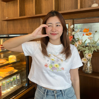 💫พร้อมส่ง✨เสื้อยืด Baby Crop