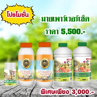 My Plant Set 1-2-3 สูตรปรับปรุงดินบำรุงป้องกันศัตรูพืช