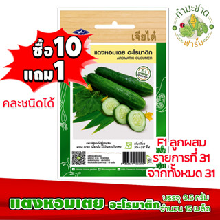 (ซื้อ10แถม1) เมล็ดพันธุ์ แตง เตยหอม Aromatic cucumer ประมาณ 15เมล็ด เจียไต๋ แตงกวา ใบเตย เมล็ดพันธุ์พืช เมล็ดพันธุ์ผัก