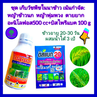 ชุด เก็บหญ้าในนาข้าว อายุ 20-30 วัน หญ้าดื้อยา วัชพืชตายยาก  อะนิโลฟอส 30% 500 + บิสไพรีแบค โซเดียม 20% 100 g หญ้าข้าวนก