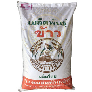 เมล็ดพันธุ์ข้าวเหนียว สันป่าตอง1 กรมการข้าว