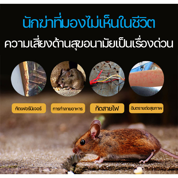 หลังกินหนูตายทันทีRATAXยาเบื่อหนู หนูภายใน100ม.ได้กลิ่นหอมหมดตายถ้าคุณกินยาเบื่อหนูตายแห้งยาเบื่อหนูตายแห้งไม่มีกลิ่น - รูปที่ 2