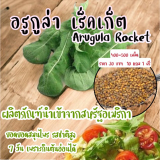 อรูกูล่า เร็คเก็ต Arugula Rocket เพาะได้ทั้งต้นอ่อนและต้นโต เมล็ดพันธุ์นำเข้าจากสหรัฐอเมริกา ปลอดสาร 300-400 เมล็ด