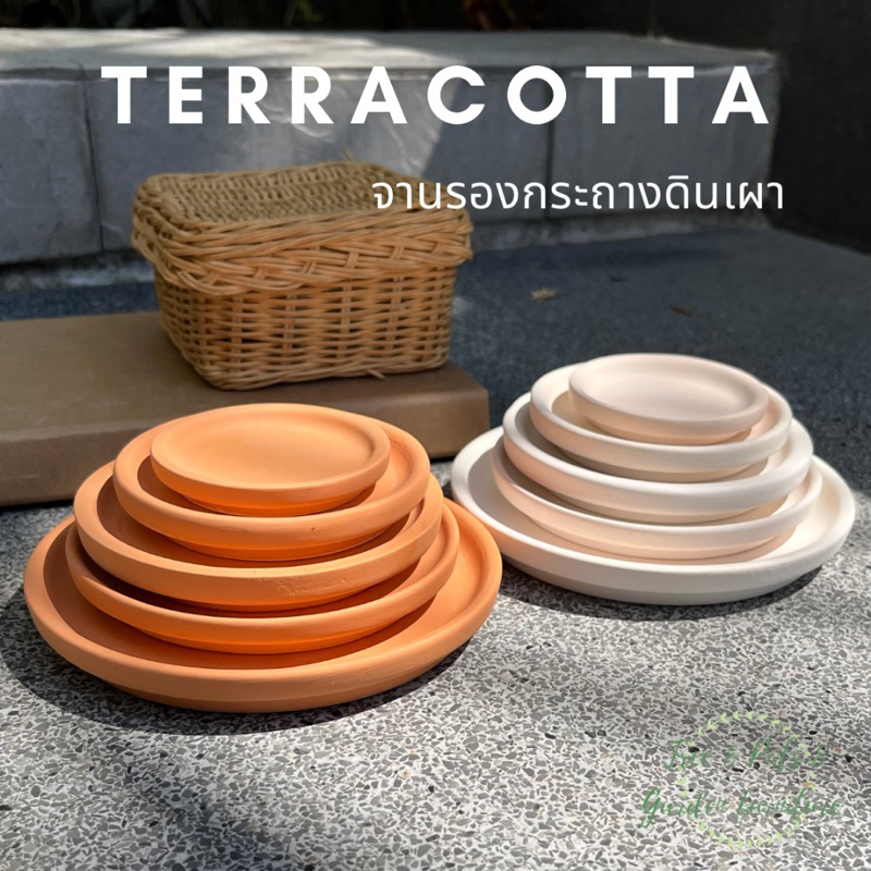 จานรองกระถาง จานรองดินเผา ขนาด 2.5”- 5.5” มี 2 สีให้เลือก เนื้อจานรองเนียน เนื้อละเอียด พร้อมส่งค่ะ