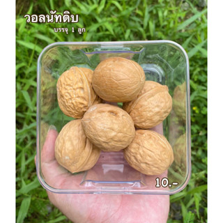 วอลนัท / วอลนัทดิบ 🥜 สำหรับ แฮมเตอร์ กระรอก ดอร์เม้าส์ ชูก้าร์