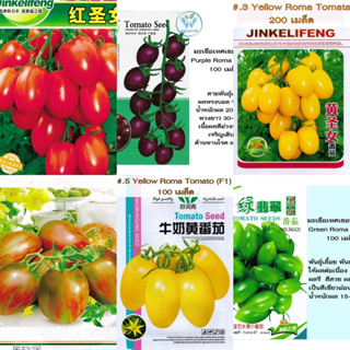 เมล็ดพันธุ์ มะเขือเทศ เชอร์รี่ 100 - 300เมล็ด Roma Tomato Seed หลากสี