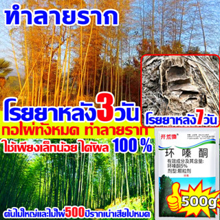 🍂3วันทำให้รากเน่าเสีย🍂TP สารกําจัดกอไผ่ กำจัดต้นไม้และไผ่ให้หมดจด ยาฆ่าต้นไม้ใหญ่500gยาฆ่าตอไม้ ยาฆ่ากอไผ่ ยาฆ่าไม้ไผ่