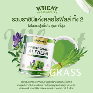 ✅ส่งฟรี Wheatgrass Alfalfa yumiko วีทกราส อัลฟาฟ่า คลอโรฟิลล์ ไฟเบอร์ ล้างสารพิษ ลำไส้ ขับถ่าย ยูมิโกะ จัมโบ้ 200 กรัม