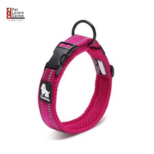 ปลอกคอ TRUELOVE PET COLLAR  ไซส์ L -สี SKY BLUE/FUCHSIA