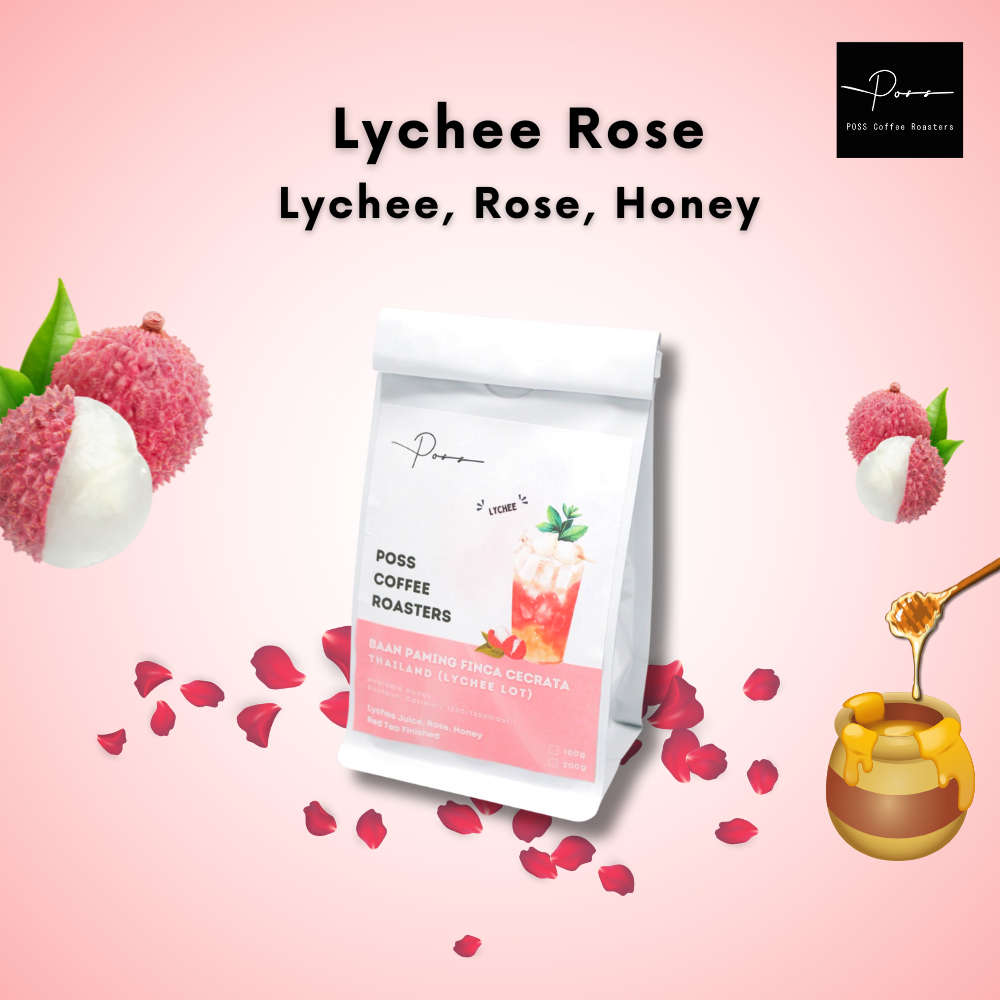 Poss Coffee Roasters - Lychee Rose เมล็ดกาแฟคั่ว Lampang Thailand Anaerobic Honey