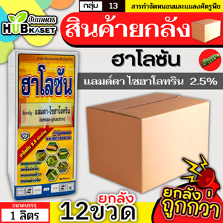 💥💥 สินค้ายกลัง 💥💥 ฮาโลซัน 1ลิตร*12ขวด (แลมป์ดา-ไซฮาโลทริน) ป้องกันกำจัดหนอน เพลี้ยไฟ แมลงหร่า หนอนแดง เพลี้ยจักจั่น