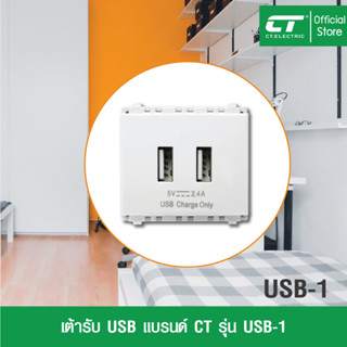 !!ถูกสุดๆ USB Outlet USB-1 (เต้าเสียบ USB-1)