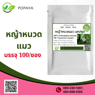 (P76) สมุนไพร Kidney tea plant, Java tea 100 Cap.