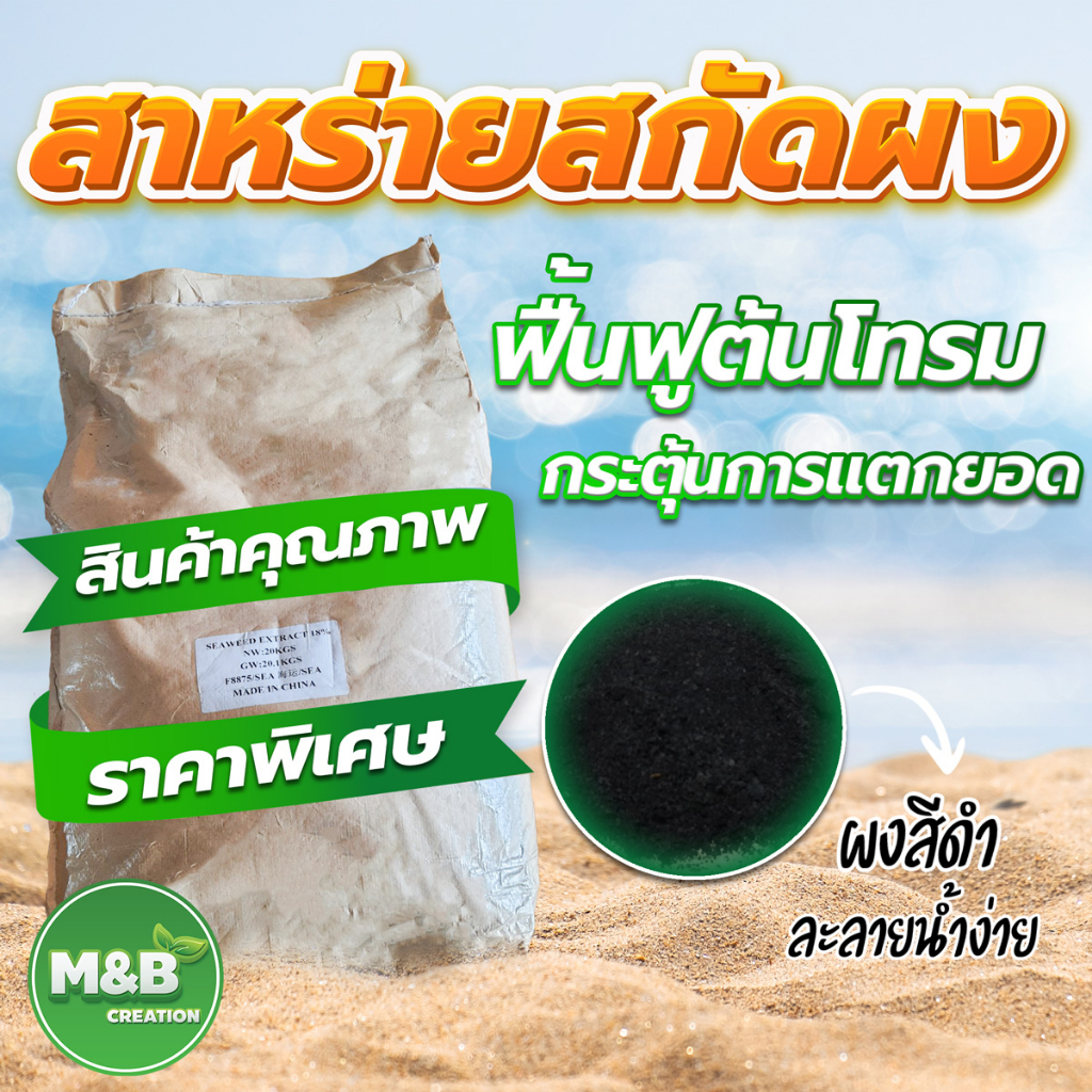 (สินค้าพรีออเดอร์)สาหร่ายสกัดผง (Seaweed Extract Powder) ขนาด 20 กิโลกรัม (ออเดอร์ละไม่เกิน 5 กระสอบ)