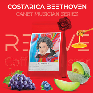 Revive Coffee Roaster เมล็ดกาแฟคั่วอ่อน Costarica Canet Musician Series Beethoven