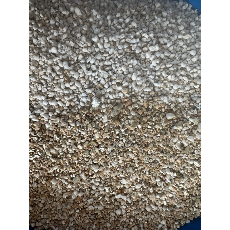 คู่หูคู่รัก (จัดส่งแบบผสมให้เลยค่ะ)